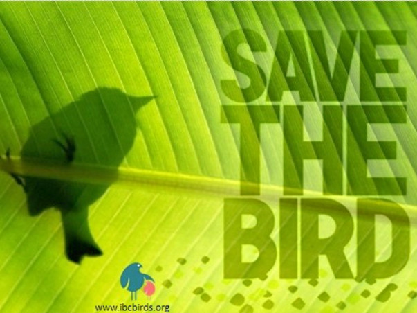 Join Us To Save Indian Native Birds