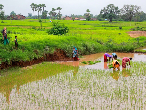 Help the struggling farming community of Tamil Nadu | Milaap