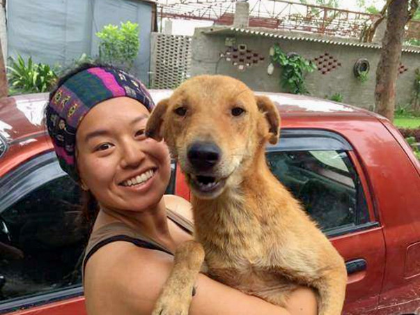 Help Bhoora Fly To His Forever Home