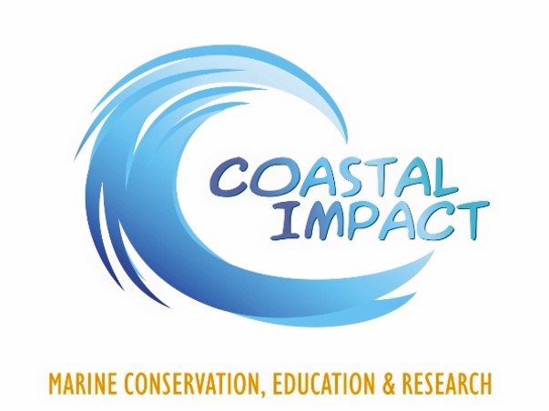 E DNA marine biodiversity survey of Grande Island, Goa