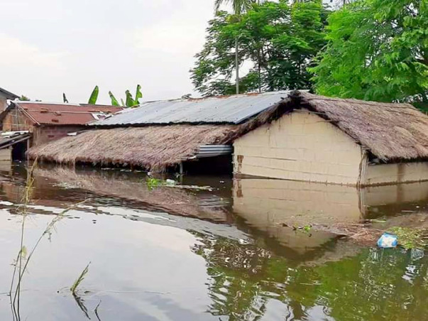 Support Assam for Flood