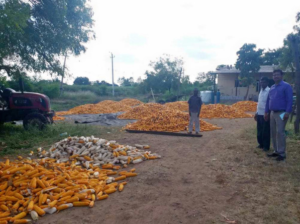 Support small farmers in Belgaum adopt sustainable agri-practices