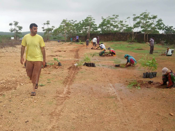 Help Tree Help Yourself - Tree Planting and Growing