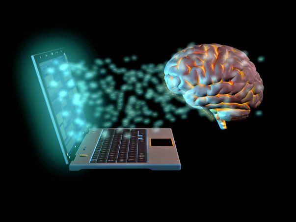 Help Us Understand How Brain Works