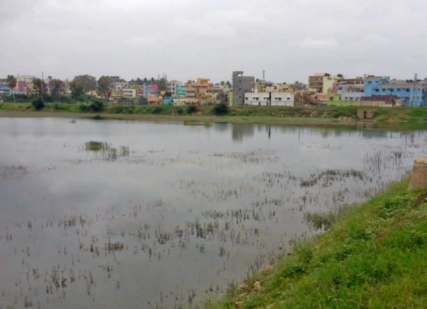 Peace Ride: Devasandra Lake Rejuvenation, K.R.Puram