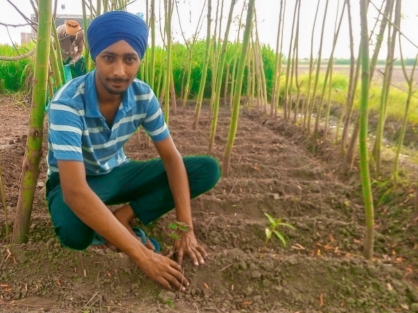 Help Me Plant Trees For Our Planet