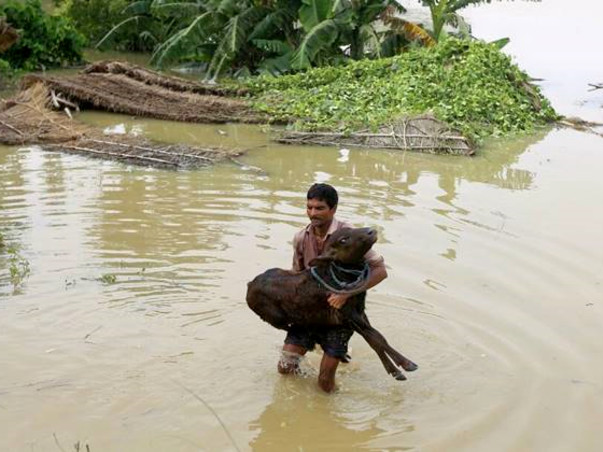 Stand With The Flood Affected Areas!
