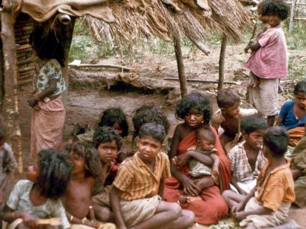 This New Year, let's feed tribal children in Attappadi, Kerala