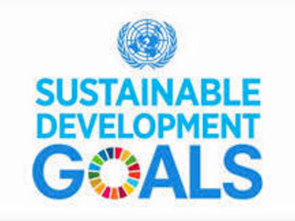 Support Us To Participate in Global Goals MUN