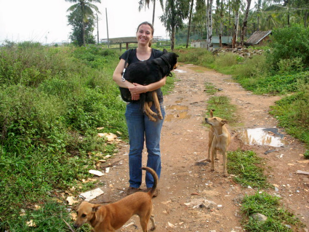 I am fundraising to help keep stray dogs fed and safe