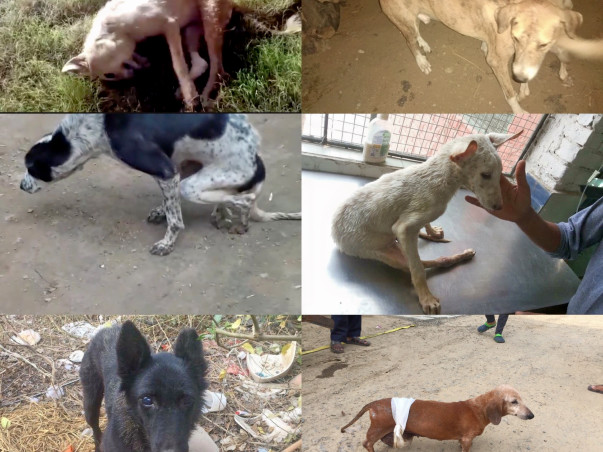 Mishti-Sitara-Chanda-Ginger-Mirchi- help to clear pending Bills