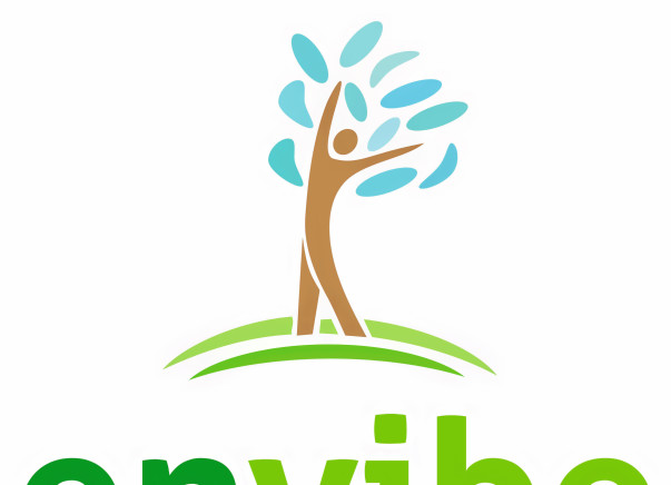 Support Envibe to reduce and recycle waste in municipal schools