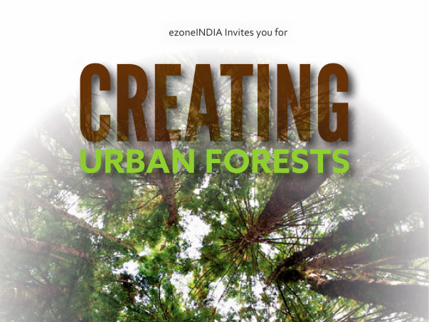 Plant Trees to bring back Glorious GREEN Cover