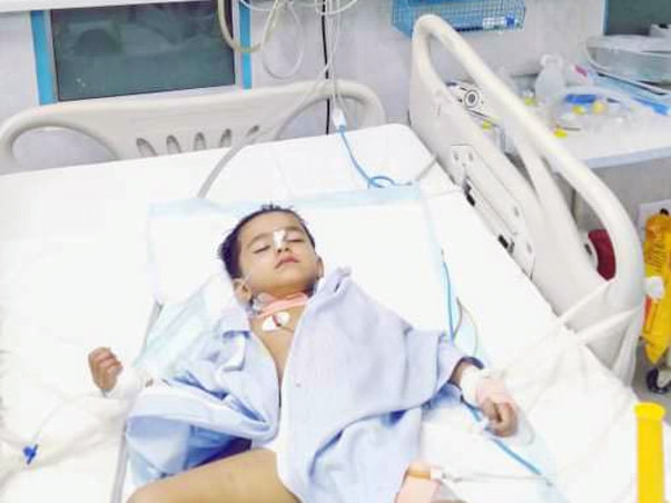 Help 3-year-Old For Liver Transplant Currently In Coma