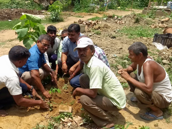 Plant Tree with Project Green Hand