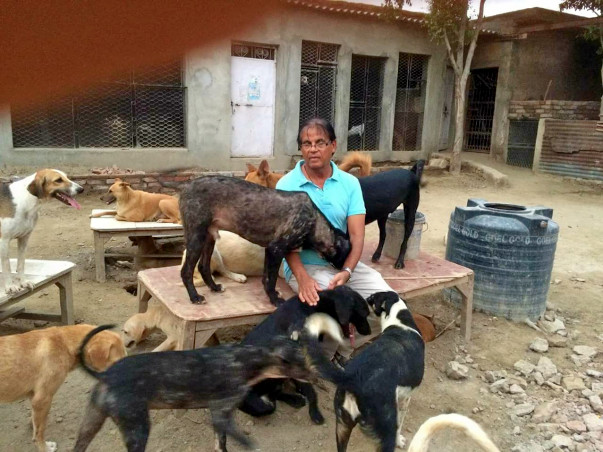 Support An Animal Shelter