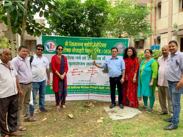 Tree Plantation Drive in Delhi, Faridabad and Almora in July-August