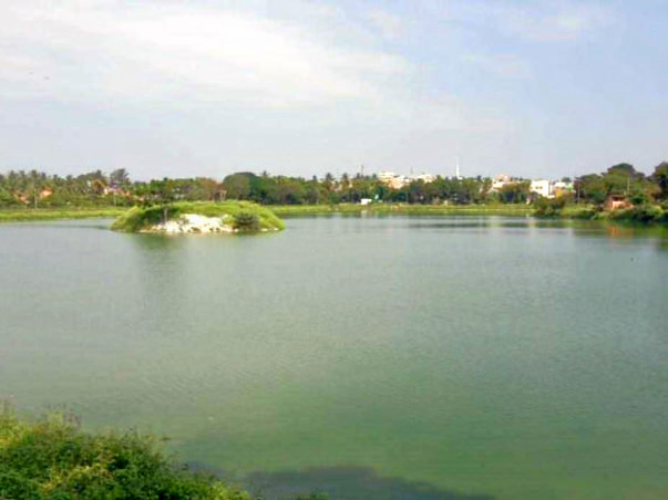 Bengaluru Marathon: Restoration of Madiwala Lake, BTM Layout
