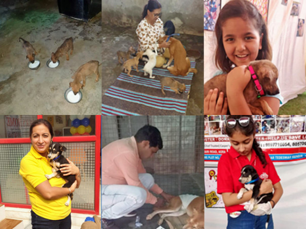Humans for Dogs