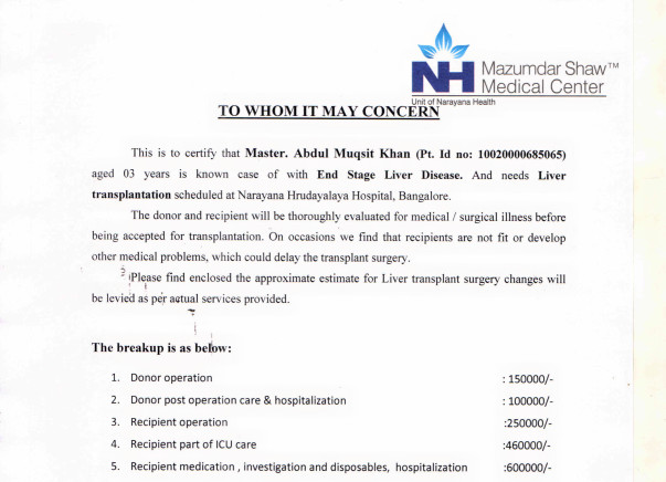 Help me fundraise for my 3 year old son's liver transplant