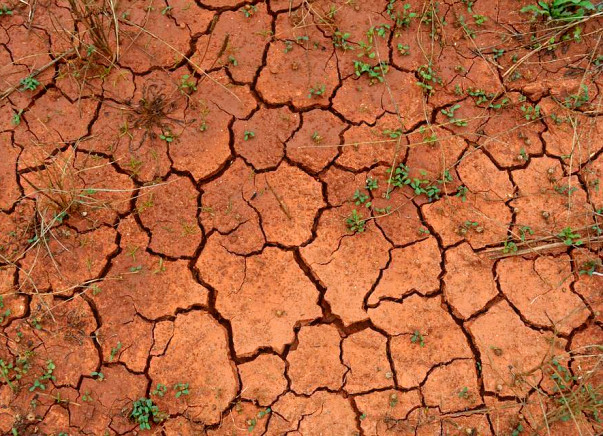 Support farmers in their fight against drought