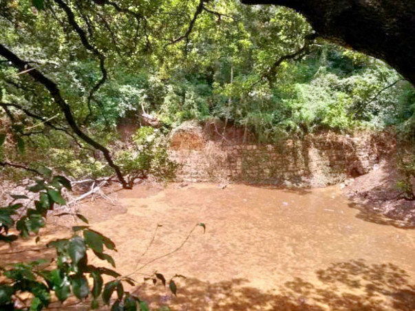 Peace Ride: Rejuvenation of Patalaganga Pond