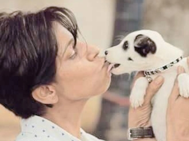 Help These Animals To Have A Permanent Home