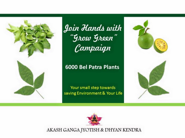 "GROW GREEN" Campaign- Save Environment