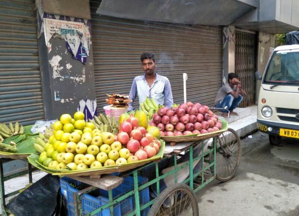 Help me to establish a business and survive