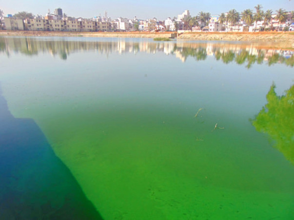 Peace Ride: Restoration of Byrasandra Lake, Jayanagar