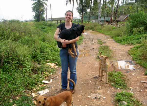 I am fundraising to help keep stray dogs fed and safe