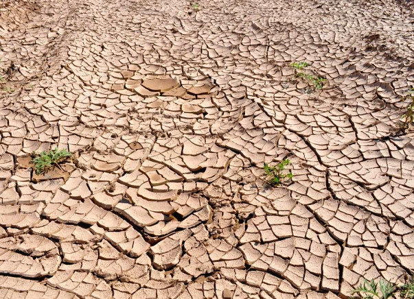 Bring relief to drought affected regions of Maharashtra