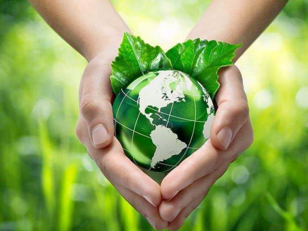 Go Green Initiative- Plant a Tree Sapling