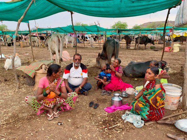 Help farmers in severe drought condition of Maharashtra