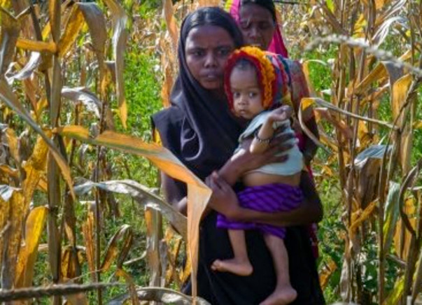 Fight Hunger Foundation - Saving Lives Of Malnourished Children