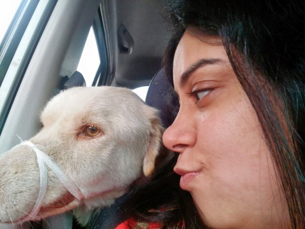 Help Homeless Sick Dogs to lead a Happy Life