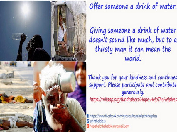 Let's pledge to Help the Helpless this summer.
