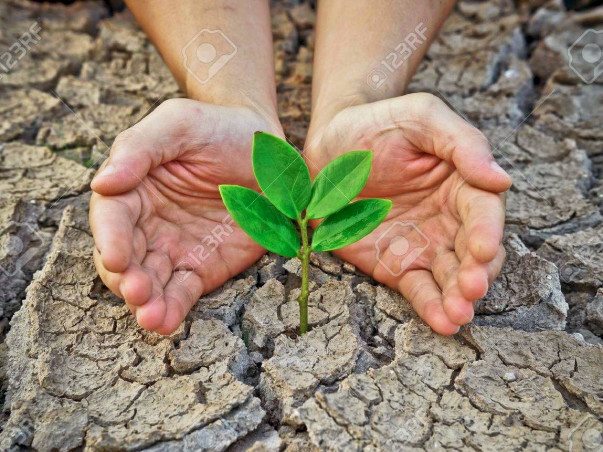Let's Join Hands To Bring Back Greenery Of ODISHA