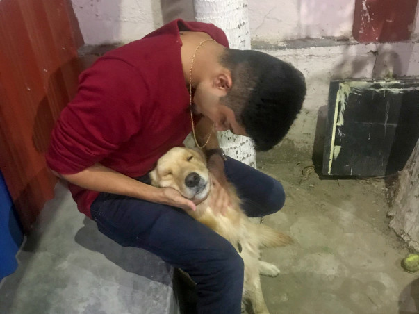 Help Me Feed Innocent Animals