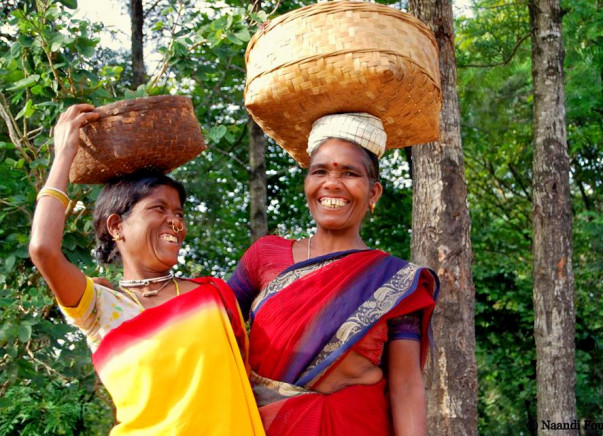 Help assure alternative livelihood for farmers