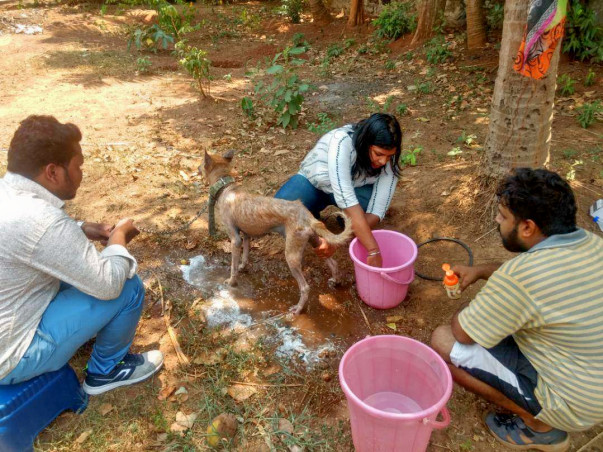 Help Us to Build our Animal Shelter at Bhubaneswar