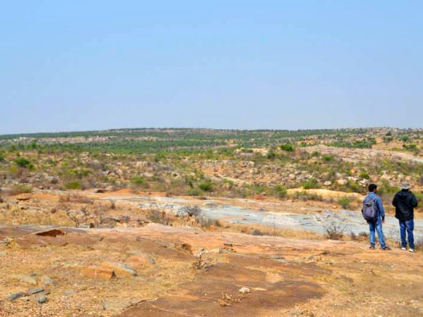 Nandi Hillathon: Improve Green Cover in Chintamani
