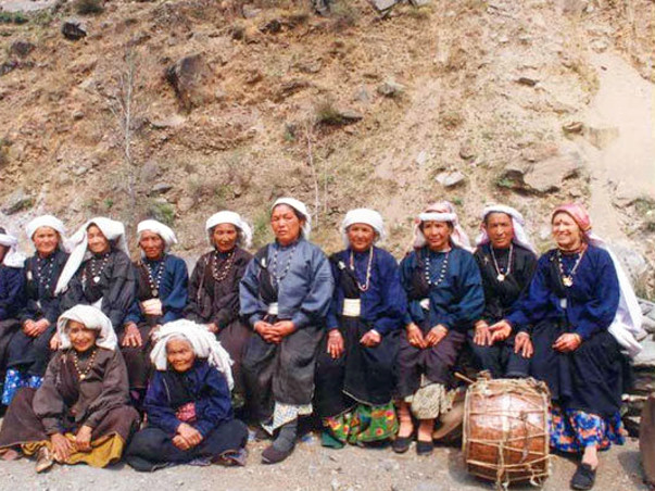 Chipko Rebound