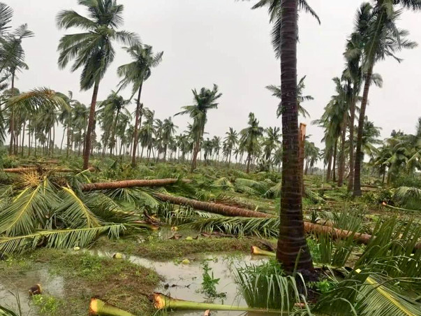 Help My Family Recover from Cyclone 'Gaja'