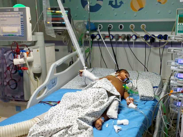 Rihaansh needs your help