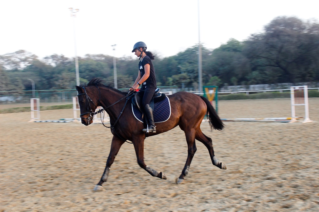 Dancing the horse