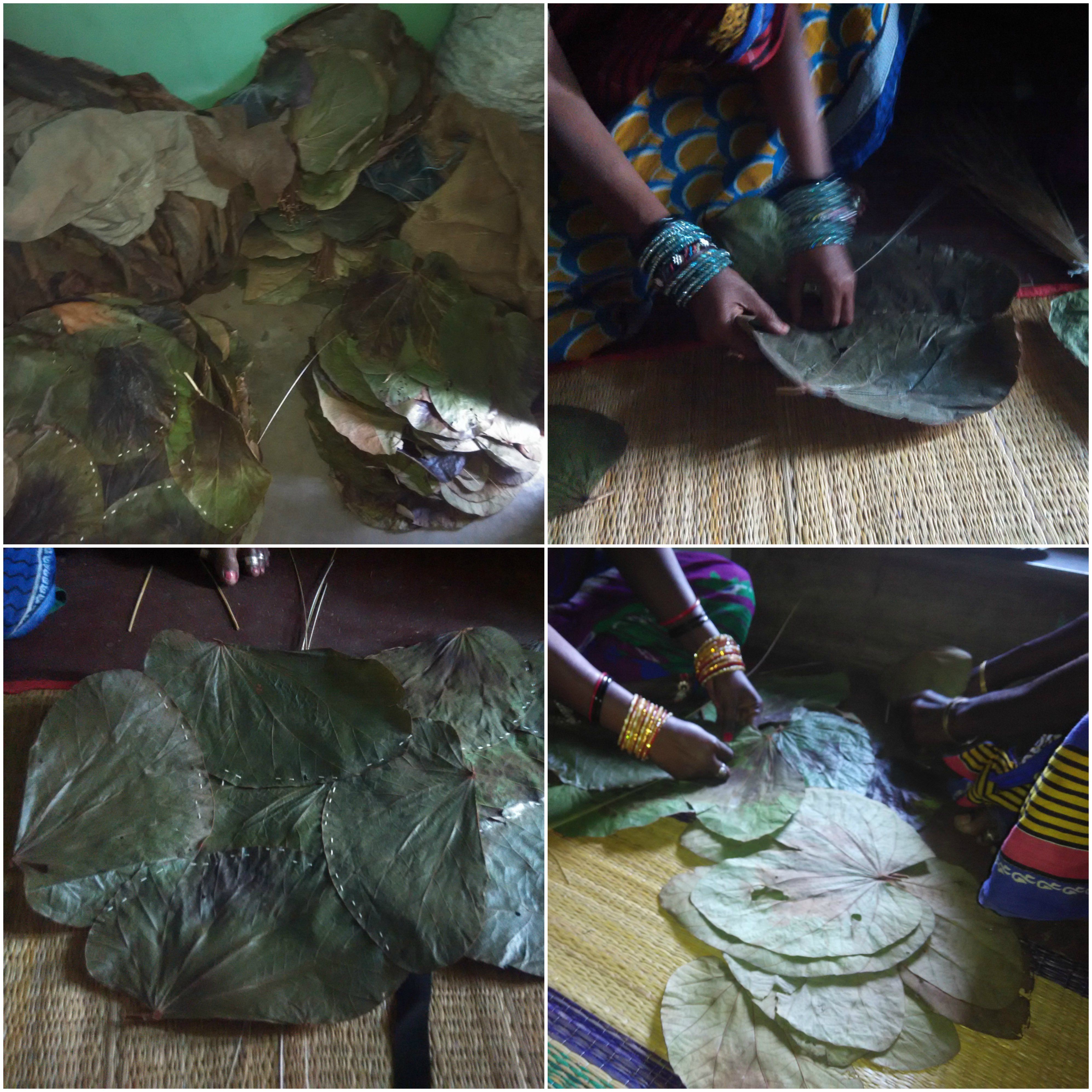 The Siali leaf plate makers of Eastern Ghats Milaap