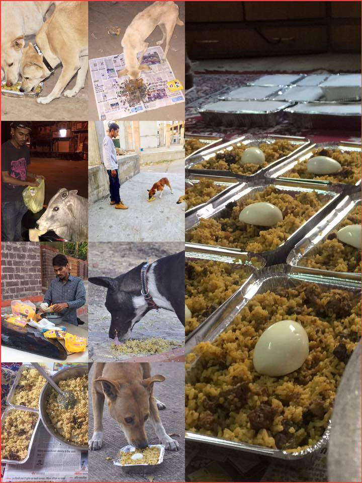 Stray Animals are not getting everyday food easily. We are feeding them